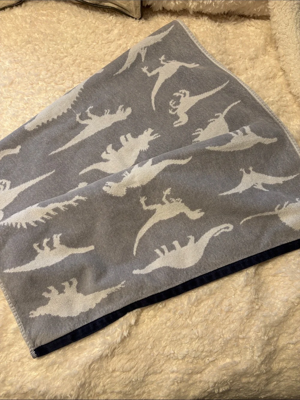 Pottery Barn Kids Finn Dino Bath Towel 25x50